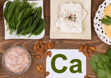 The role of calcium in the body